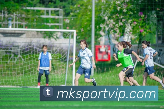 MK体育全站App MK体育全站App