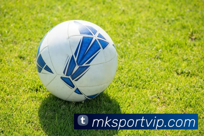 辅助工具 辅助工具