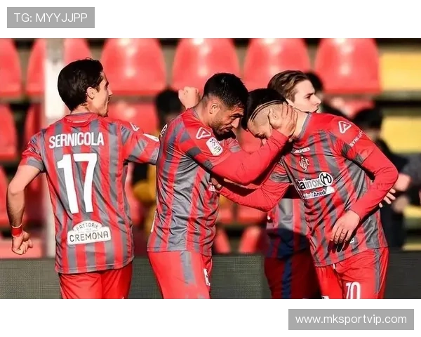 意甲共有多少支球队参加顶级联赛？历史与现状