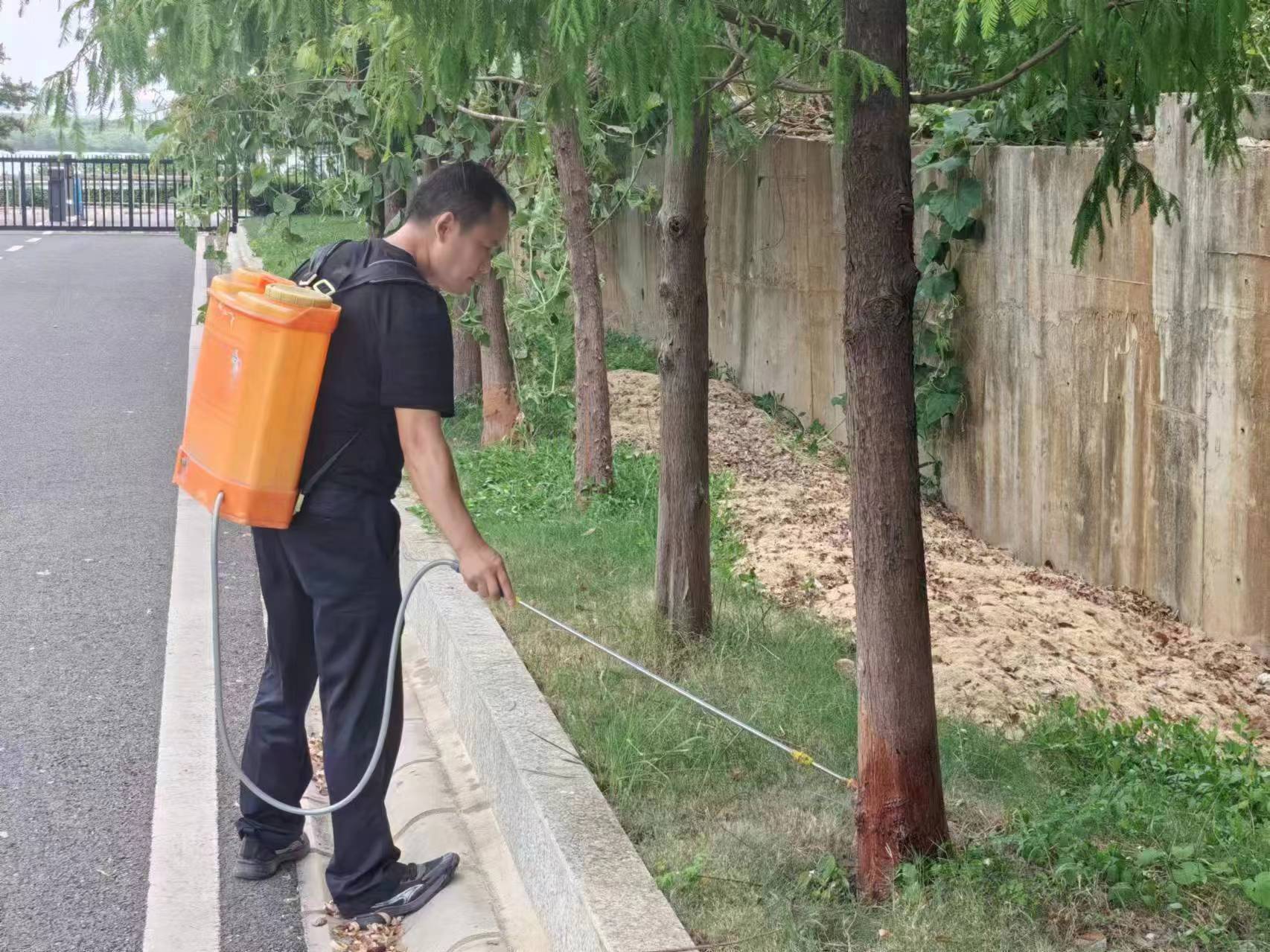 精心准备取得胜利，实力雄厚难抵