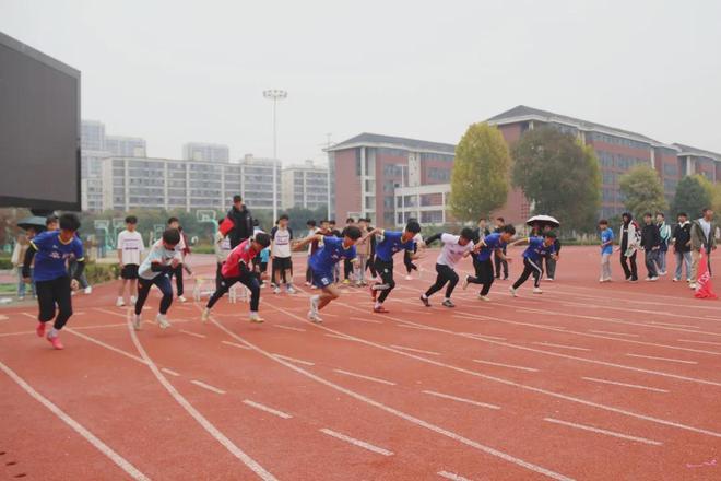 田径赛场上的精彩瞬间引发观众热烈反应